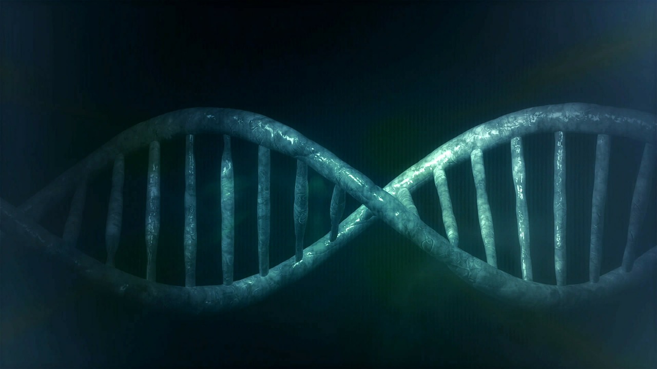 Repression of microRNA Function Mediates Inflammation-associated Colon Tumorigenesis